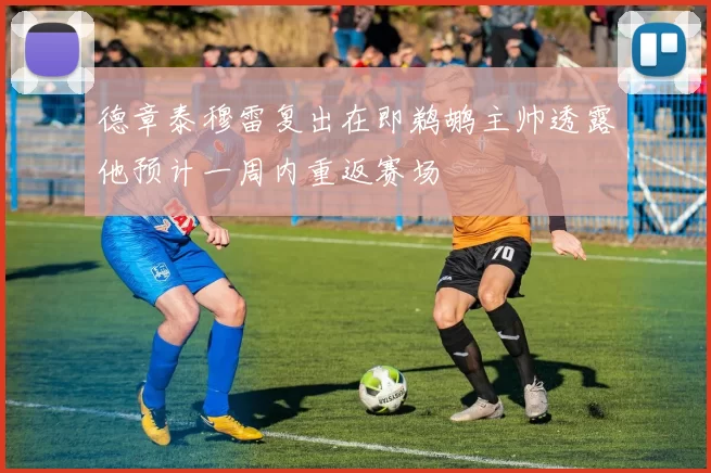 德章泰穆雷复出在即鹈鹕主帅透露他预计一周内重返赛场