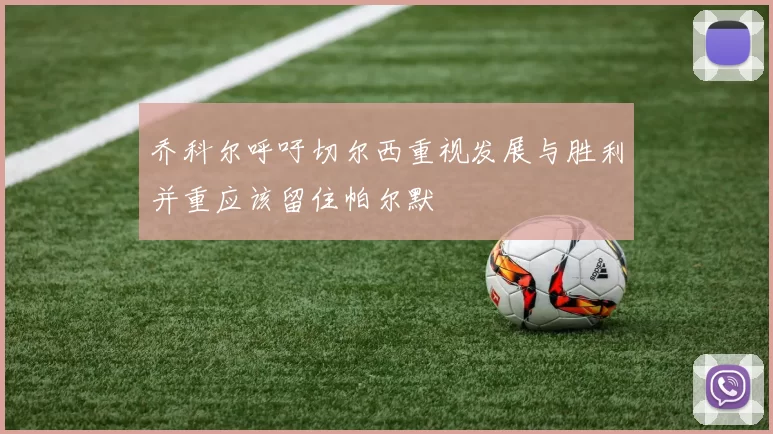 乔科尔呼吁切尔西重视发展与胜利并重应该留住帕尔默