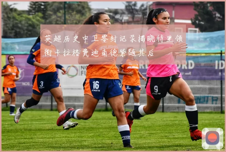 英超历史中卫零封记录揭晓特里领衔卡拉格费迪南德紧随其后